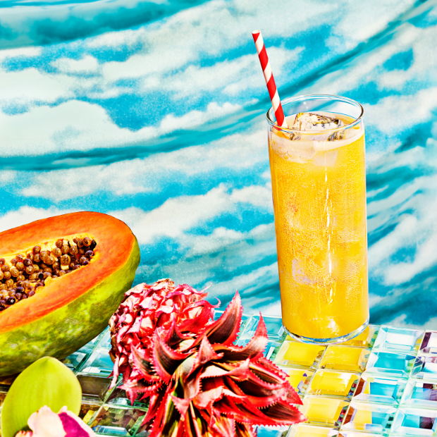 Tropical Punch - Image 4